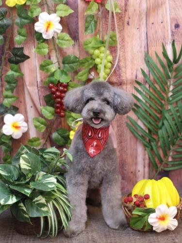 20230822るいくん